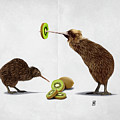 Kiwi Wordless